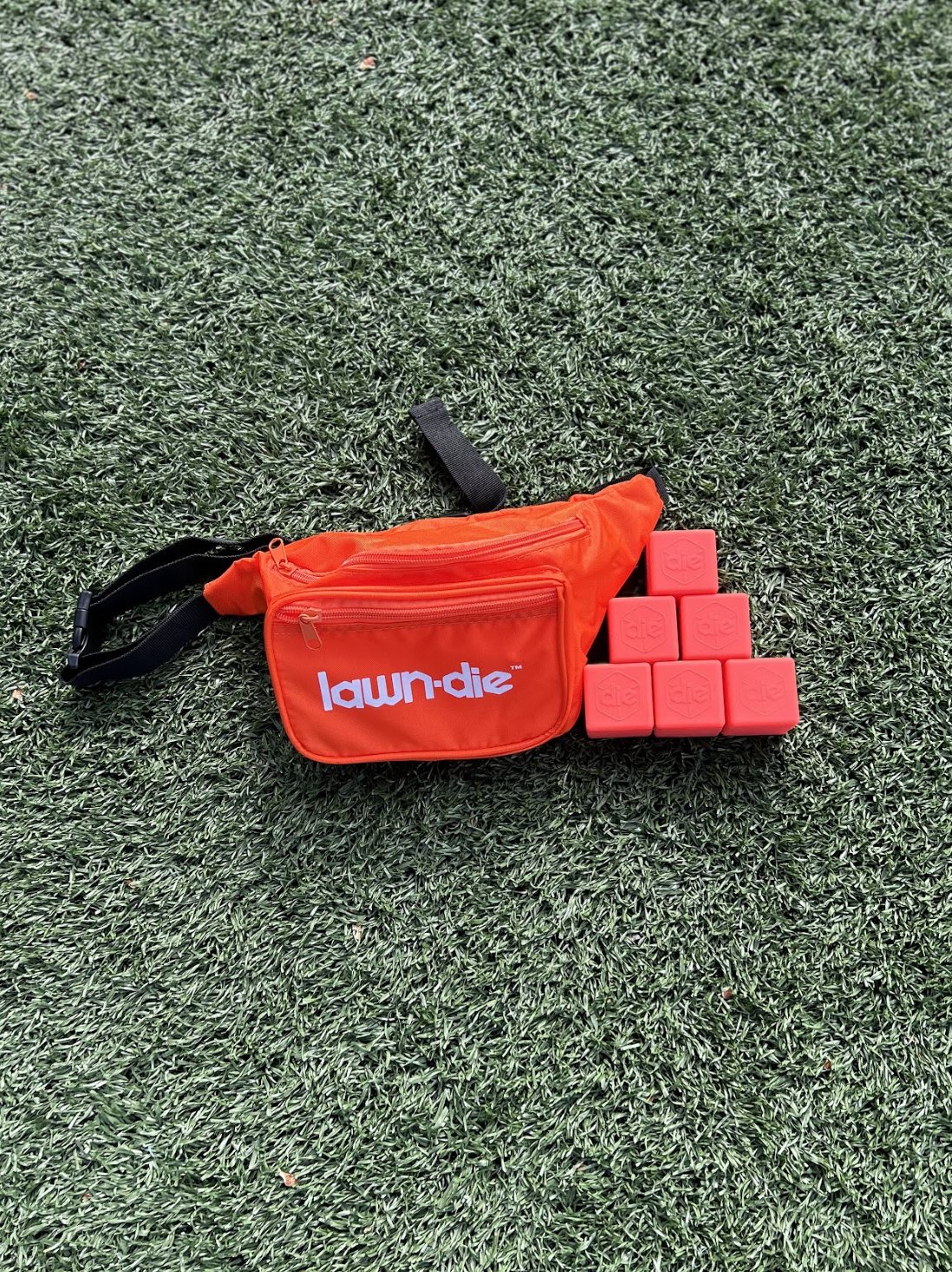 6-pack of Dice